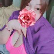 ヒメ日記 2026/04/09 14:19 投稿 ミサキ ちゃんこ本厚木店