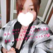 ヒメ日記 2026/04/17 11:16 投稿 ミサキ ちゃんこ本厚木店