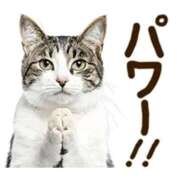 ヒメ日記 2026/05/29 23:54 投稿 ミサキ ちゃんこ本厚木店