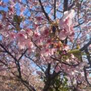 ヒメ日記 2026/03/02 15:04 投稿 りいな 天使のゆびさき 船橋店(カサブランカグループ)