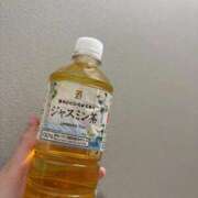 ヒメ日記 2026/02/19 15:53 投稿 なちこ（現役ナース×元エステ嬢 ハニービー（Honey Bee）