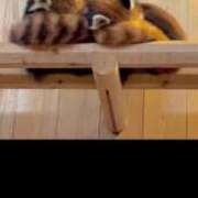 菜月ことね 寒い 熟女パラダイス池袋店(カサブランカグループ)