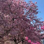 らん こんにちは😊 熟女の風俗最終章 高崎店