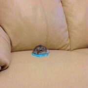 まみ 日常日記🤍 エンジェルエステplus