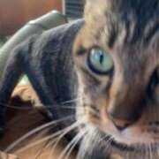 ヒメ日記 2026/03/18 18:48 投稿 まみ エンジェルエステplus