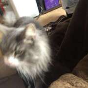 ヒメ日記 2026/03/18 19:08 投稿 まみ エンジェルエステplus