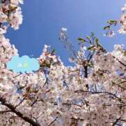 ヒメ日記 2026/04/03 15:27 投稿 みお(昭和56年生まれ) 熟年カップル名古屋～生電話からの営み～