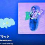 ヒメ日記 2026/07/19 05:55 投稿 みお(昭和56年生まれ) 熟年カップル名古屋～生電話からの営み～