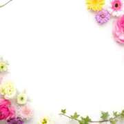 ともみ 感謝です♡ 神田ハンドメイド