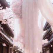 ヒメ日記 2026/03/31 07:19 投稿 すい 浜松駅前ちゃんこ