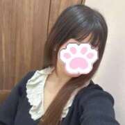 ヒメ日記 2026/01/29 19:29 投稿 もも スピードエコ日本橋店