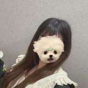 ヒメ日記 2026/01/30 18:49 投稿 もも スピードエコ日本橋店