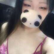 ヒメ日記 2026/04/01 18:55 投稿 ましろ Minniy