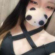 ヒメ日記 2026/04/02 18:52 投稿 ましろ Minniy