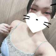 ヒメ日記 2026/04/04 19:05 投稿 ましろ Minniy