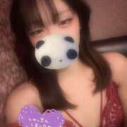 ヒメ日記 2026/04/28 18:54 投稿 ましろ Minniy