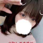 ヒメ日記 2026/02/08 12:00 投稿 ことり 京都性感NEWエステ