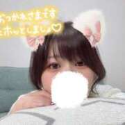 ヒメ日記 2026/03/05 19:30 投稿 ことり 京都性感NEWエステ