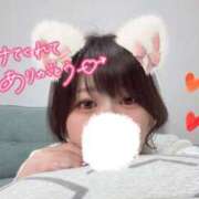 ヒメ日記 2026/04/10 10:01 投稿 ことり 京都性感NEWエステ