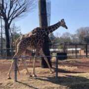 ヒメ日記 2026/03/06 20:46 投稿 ゆみ（人妻）新人 THE・TRY