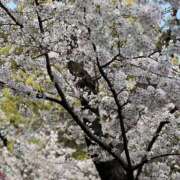 ヒメ日記 2026/04/07 11:54 投稿 ふぶき One More 奥様　松戸店