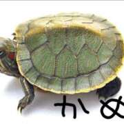 ヒメ日記 2026/02/05 21:25 投稿 カオル 黄金の口 本店