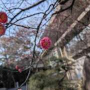 ヒメ日記 2026/02/06 03:05 投稿 カオル 黄金の口 本店