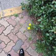 ヒメ日記 2026/02/28 13:15 投稿 カオル 黄金の口 本店