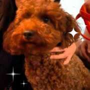 ヒメ日記 2026/03/05 13:12 投稿 カオル 黄金の口 本店