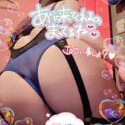 ヒメ日記 2026/04/09 14:25 投稿 エル 黄金の口 本店