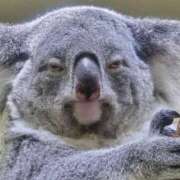 ヒメ日記 2026/03/25 09:38 投稿 ダイヤ 黄金の口 本店