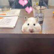 ヒメ日記 2026/02/06 10:25 投稿 結城えり 黄金の口 本店