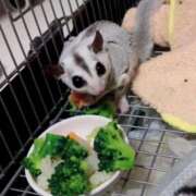 ヒメ日記 2026/03/01 23:15 投稿 結城えり 黄金の口 本店