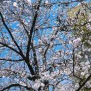 ヒメ日記 2026/03/27 12:41 投稿 結城えり 黄金の口 本店