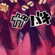 ヒメ日記 2026/02/18 21:26 投稿 いち 神田はっち