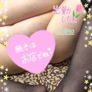 ヒメ日記 2026/02/12 15:03 投稿 しの★(爆乳Jカップ) ぽっちゃり女神 あぷろでぃーて