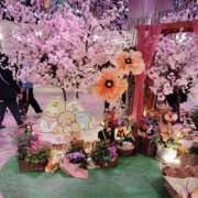 ヒメ日記 2026/03/16 13:25 投稿 しの★(爆乳Jカップ) ぽっちゃり女神 あぷろでぃーて