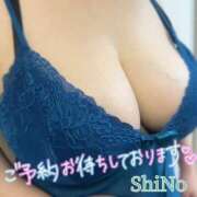 ヒメ日記 2026/04/02 13:01 投稿 しの★(爆乳Jカップ) ぽっちゃり女神 あぷろでぃーて