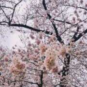 ヒメ日記 2026/04/05 18:49 投稿 葉山 BBW（ビッグビューティフルウーマン）