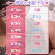 ヒメ日記 2026/06/01 12:09 投稿 葉山 BBW（ビッグビューティフルウーマン）