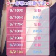 ヒメ日記 2026/06/15 10:39 投稿 葉山 BBW（ビッグビューティフルウーマン）