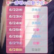 ヒメ日記 2026/06/22 12:19 投稿 葉山 BBW（ビッグビューティフルウーマン）