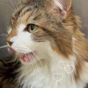 ヒメ日記 2026/01/29 09:29 投稿 滝沢　おりね 出張エステ MY HONEY(マイハニー)