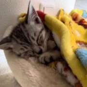 ヒメ日記 2026/03/17 21:59 投稿 よつば 渋谷 風俗 奥様発情の会