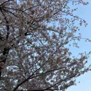 ヒメ日記 2026/03/20 09:01 投稿 よつば 渋谷 風俗 奥様発情の会