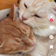 ヒメ日記 2026/03/23 23:31 投稿 よつば 渋谷 風俗 奥様発情の会