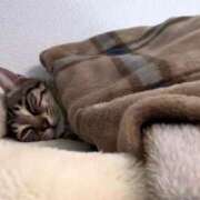 ヒメ日記 2026/03/31 08:09 投稿 よつば 渋谷 風俗 奥様発情の会