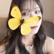 ヒメ日記 2026/01/28 18:09 投稿 ほむら 東京人妻セレブリティ（ユメオト）