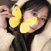 ヒメ日記 2026/01/30 00:20 投稿 ほむら 東京人妻セレブリティ（ユメオト）