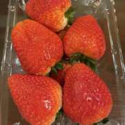 ヒメ日記 2026/02/16 16:54 投稿 ほむら 東京人妻セレブリティ（ユメオト）